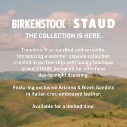 Birkenstock Gizeh Big Buckle Natural Leather Patent Black -Birkenstock Sale Store 1023779 f look f